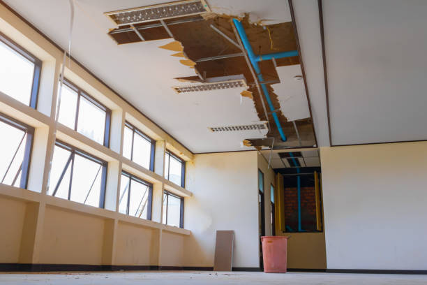 Best Fire Damage Restoration  in Live Oak, FL
