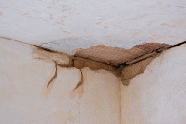 Best Emergency water damage restoration  in Live Oak, FL