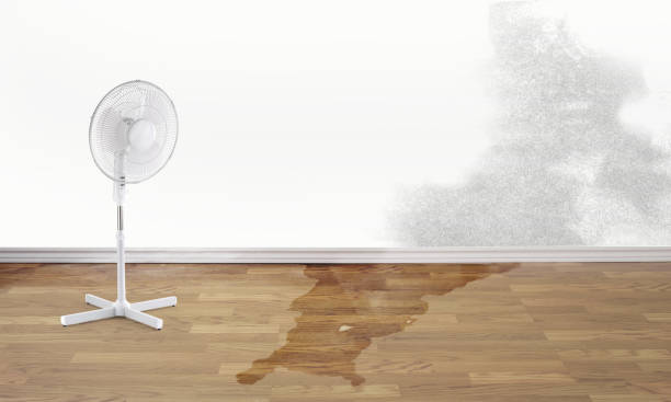 Best Water damage restoration specialists  in Live Oak, FL