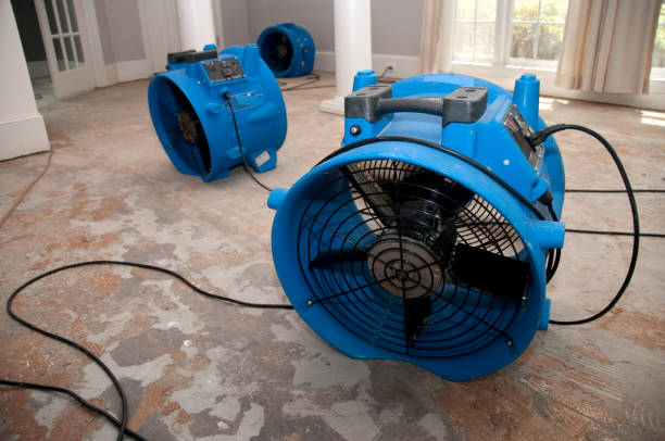Fire Damage Restoration in Live Oak, FL