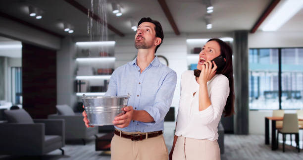 Best Water damage restoration near me  in Live Oak, FL